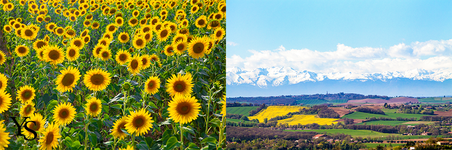 paysages gers tournesols pyrénées GEM yves sénécal photographe