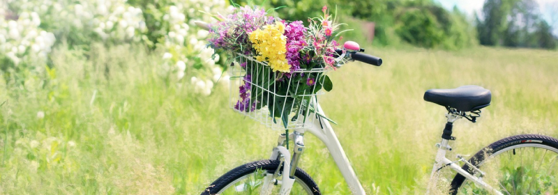 saison printemps gers événement mariage 